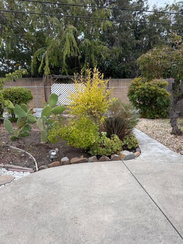 Landscaping