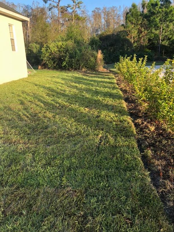 Lawn Care
