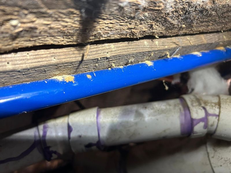 Termite Inspection & Treatment