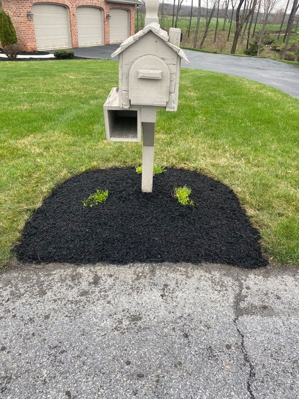 Garden Maintenance