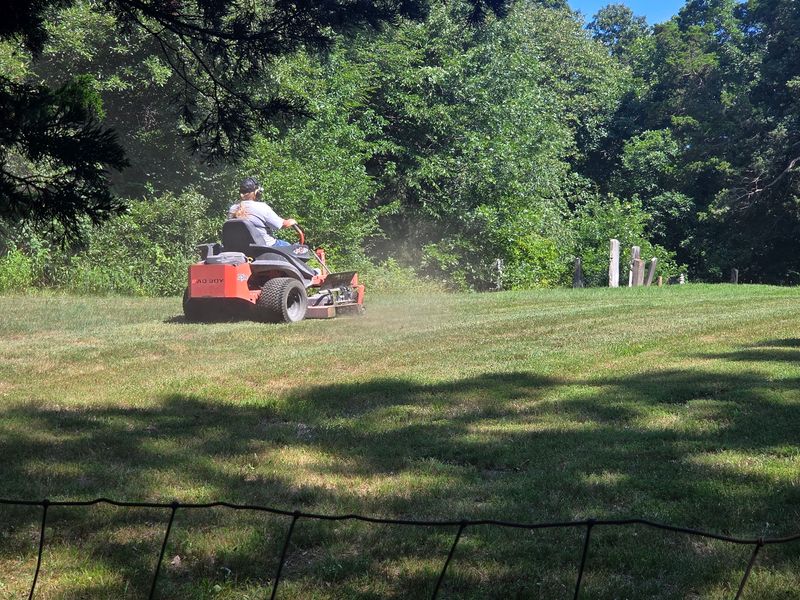 Lawn Care & Maintenance