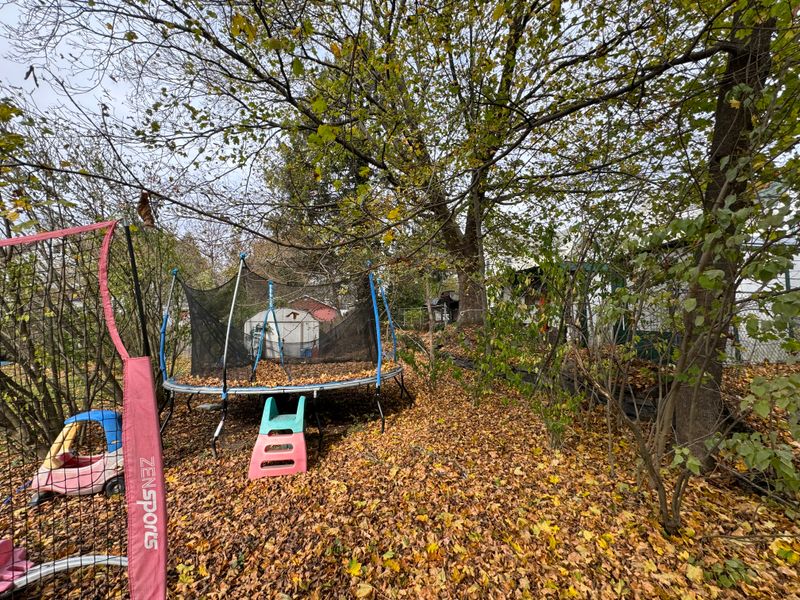 Fall Cleanup