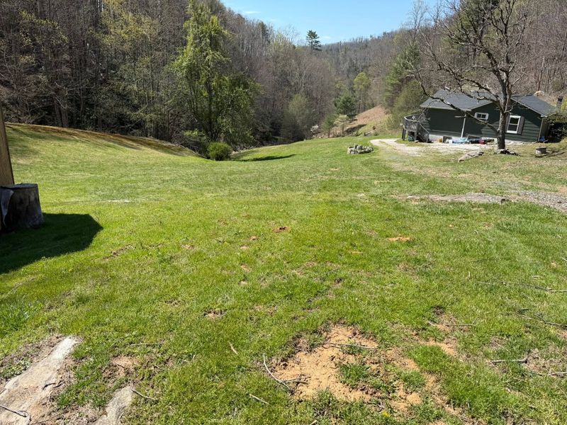 Lawn Maintenance