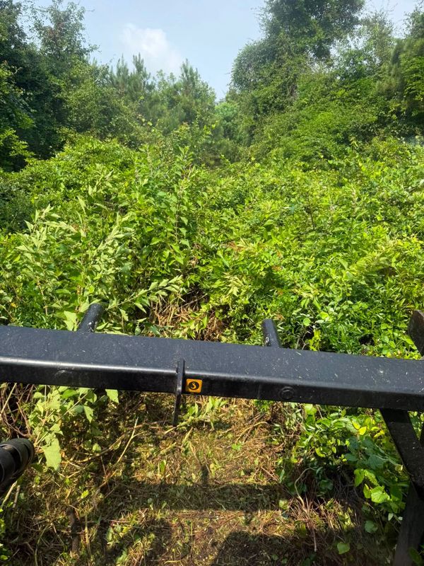Land Clearing