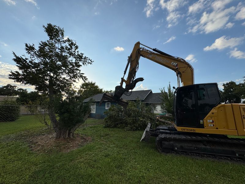 Land Clearing