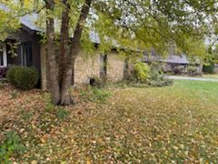 Fall and Spring Clean Up