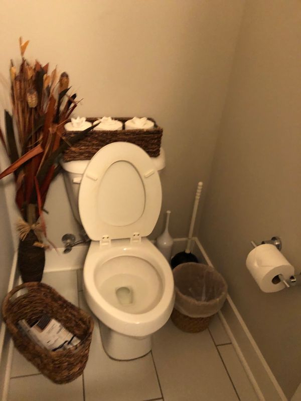 Bathroom Cleaning