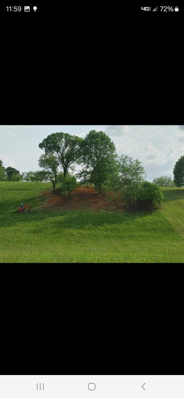 Land clearing