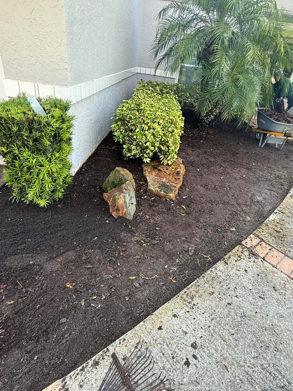 Shrub Trimming
