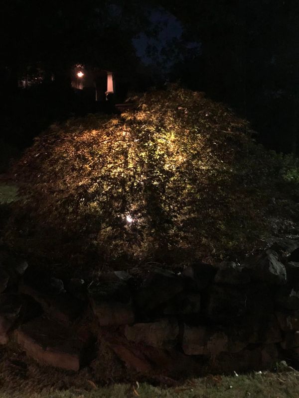Outdoor Lighting Installation