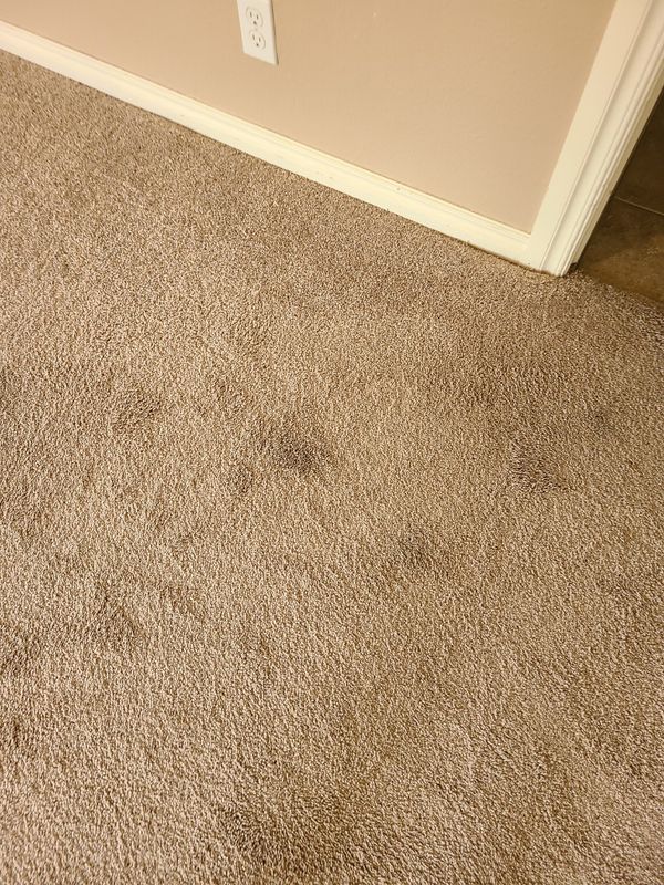 Carpet Cleaning