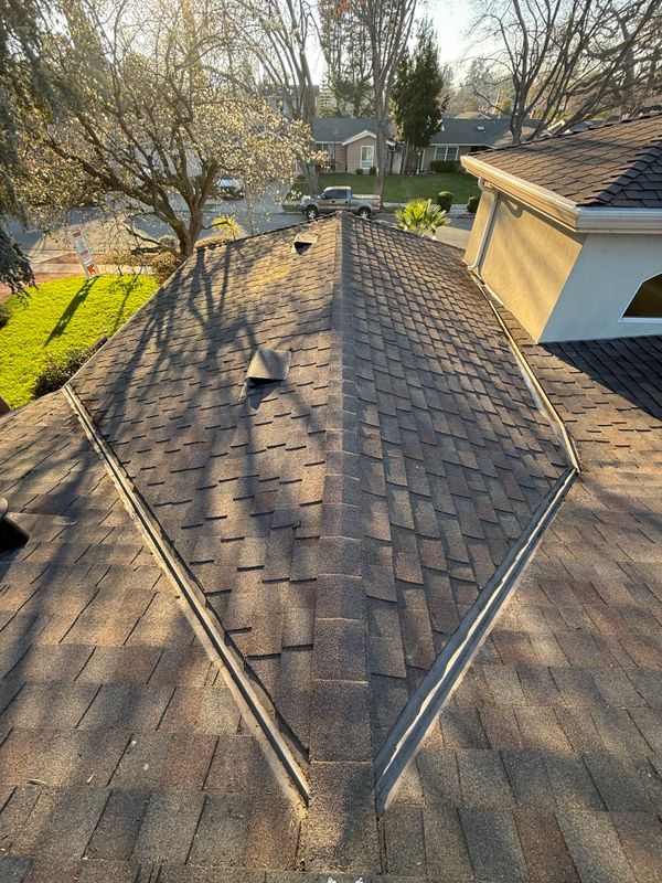 Moss Removal 