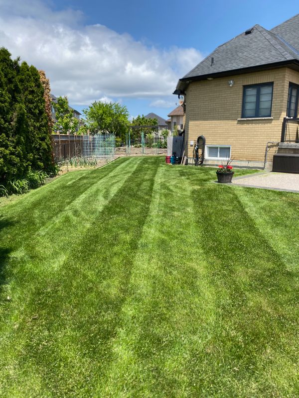 Lawn Mowing
