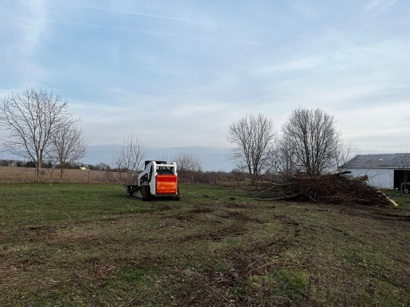 Land Clearing