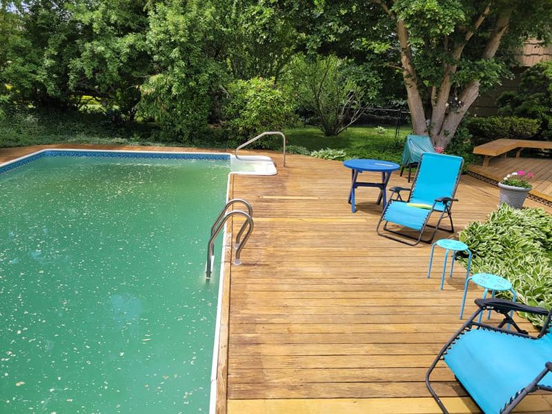 Deck & Patio Restoration