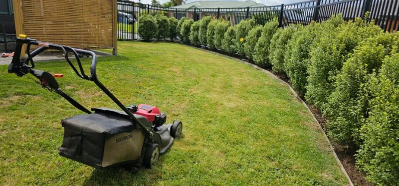 Lawn Mowing