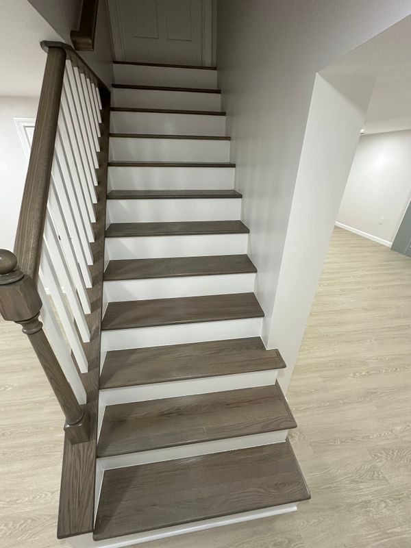 Basement Renovation