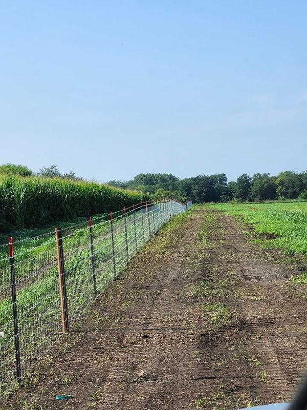 Fence Installation