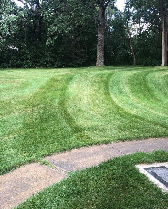 Lawn Maintenance