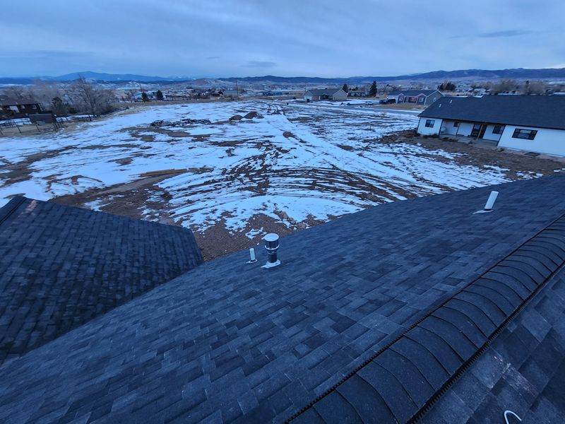 Shingle and Metal Roofs