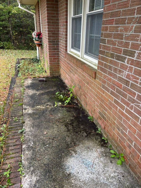 Hardscape Cleaning