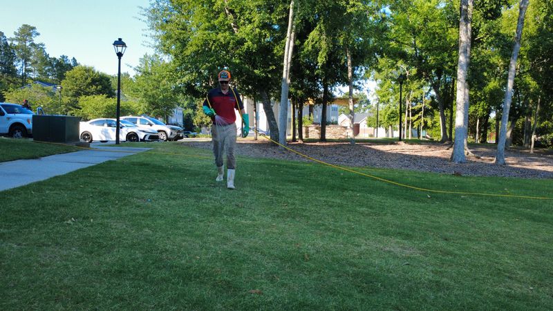 Lawn Care