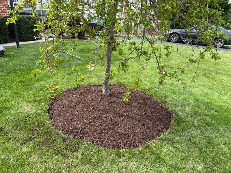 Mulch Installation