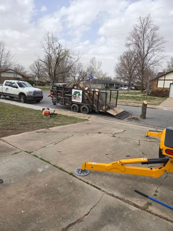 Tree Trimming