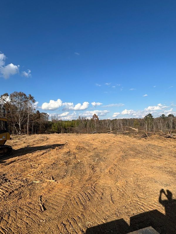 Land Clearing