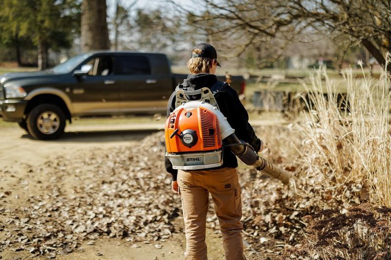 Spring & Fall Cleanups