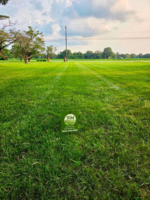 Lawn Care & Maintenance