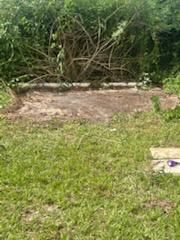 Backyard Cleanup