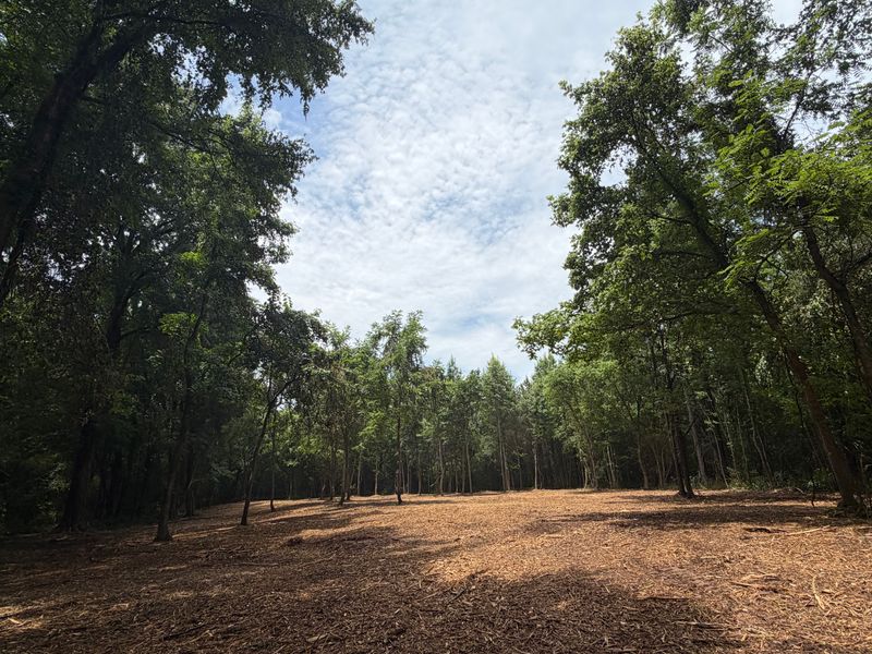 Land Clearing