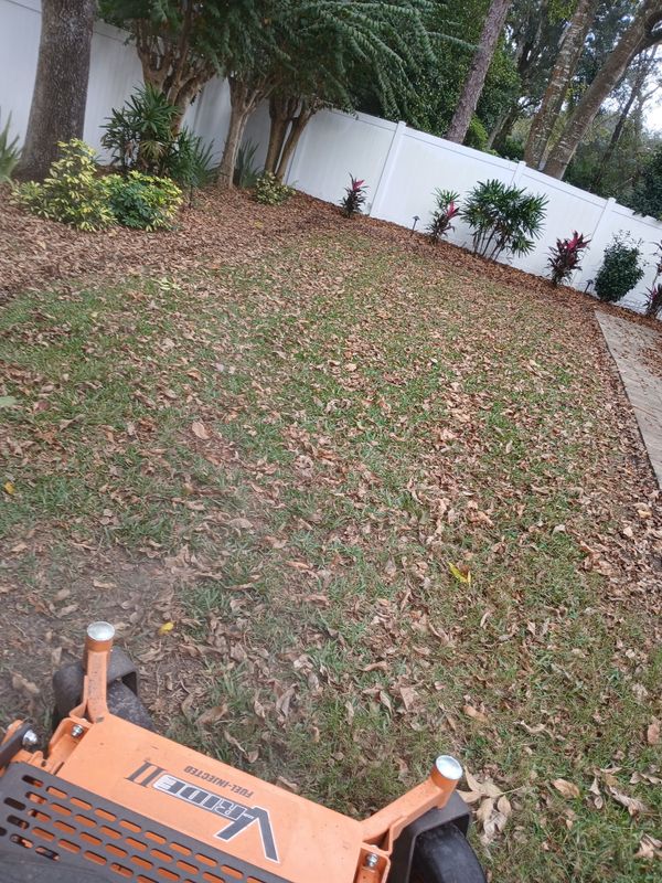 Fall Clean Up