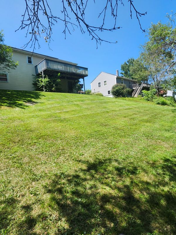 Lawn Mowing