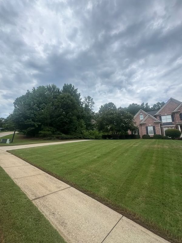 Lawn Mowing
