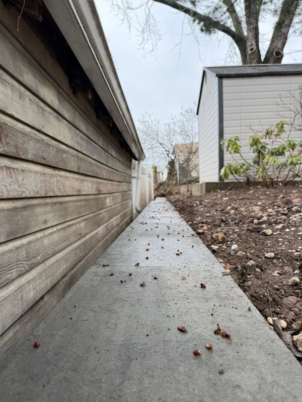 Retaining Wall Construction