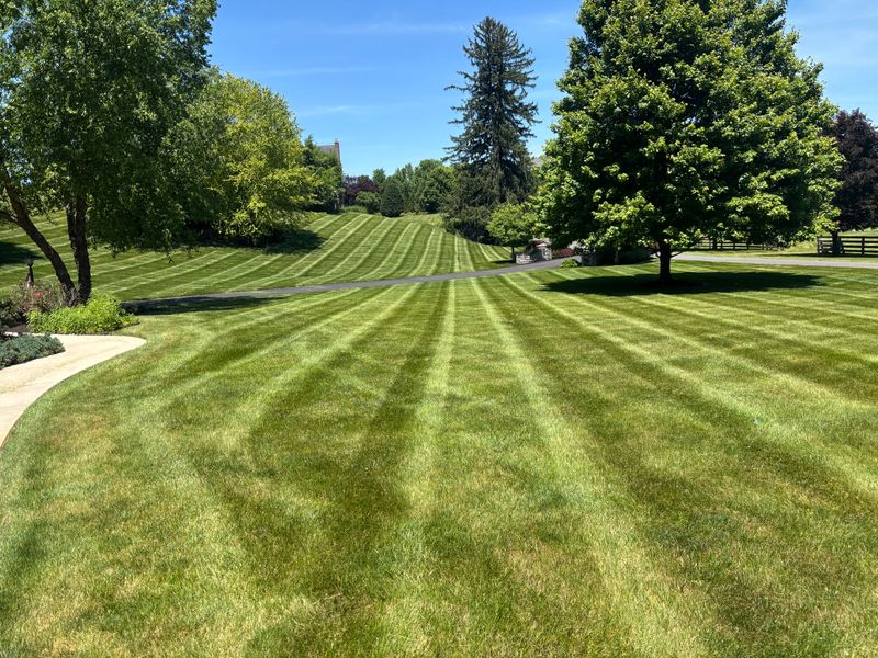 Lawn Mowing