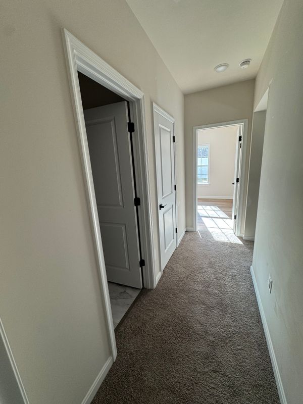 Interior Renovations