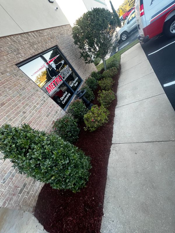Landscape Design & Planting