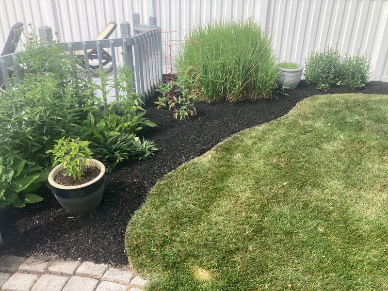 Landscape Design