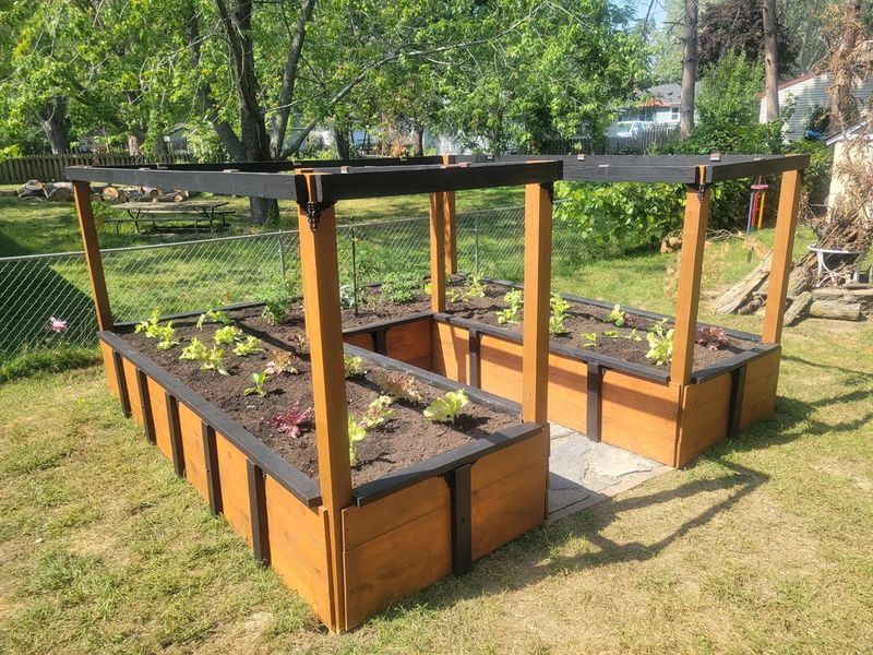 Planting