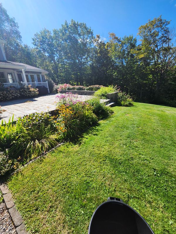 Lawn Mowing