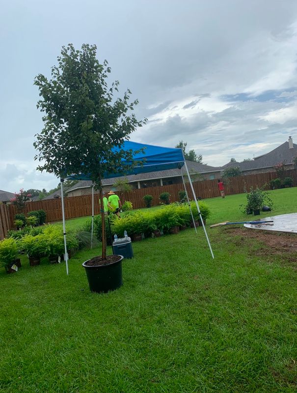 Landscape Design & Planting