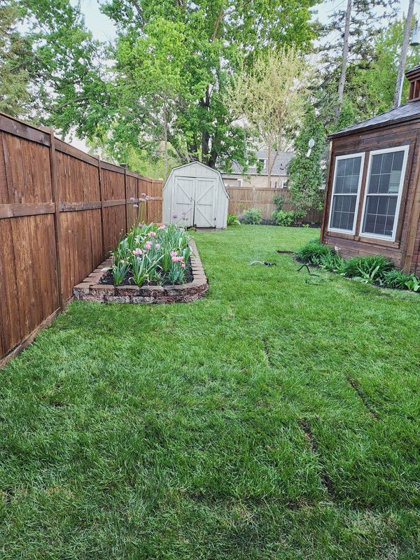 New grass