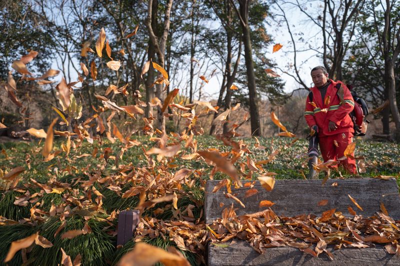 Fall Cleanup Services
