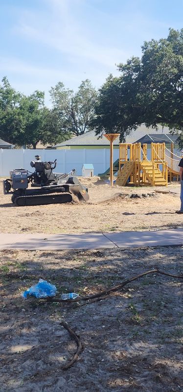 Stump Grinding and Removal