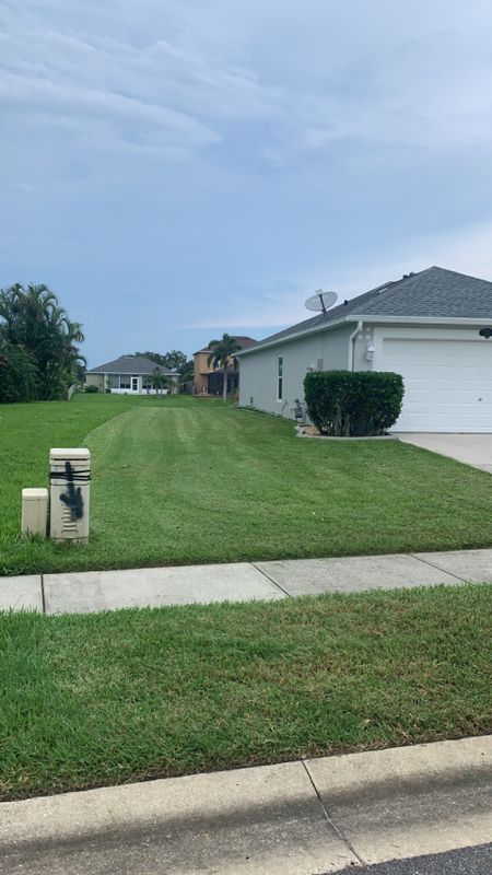 Lawn Maintenance