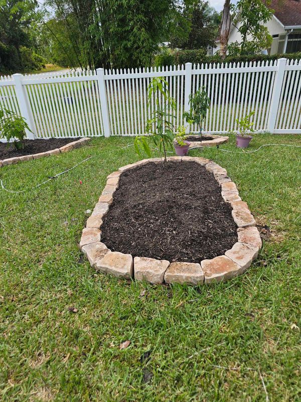Lawn Care & Maintenance