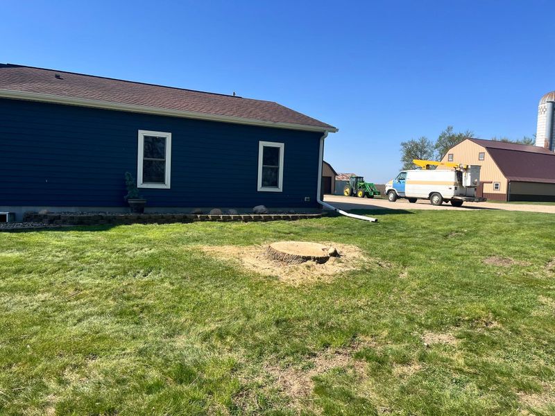 Stump Removal